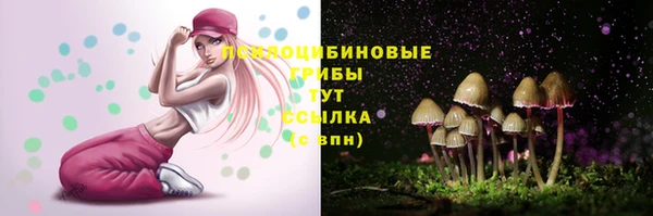 прущий лед Алзамай