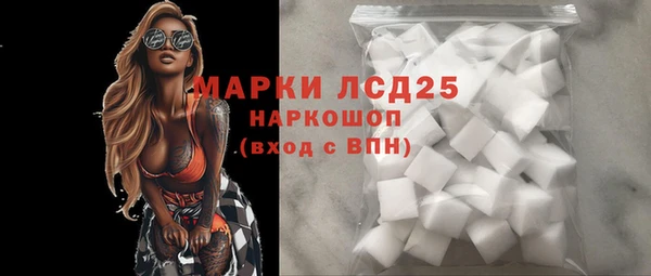 прущий лед Алзамай