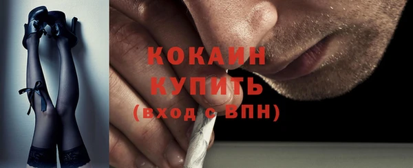 прущий лед Алзамай