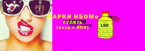 прущий лед Алзамай