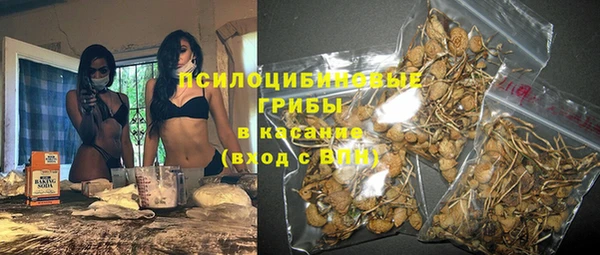 прущий лед Алзамай