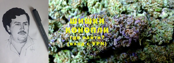 PSILOCYBIN Ростов