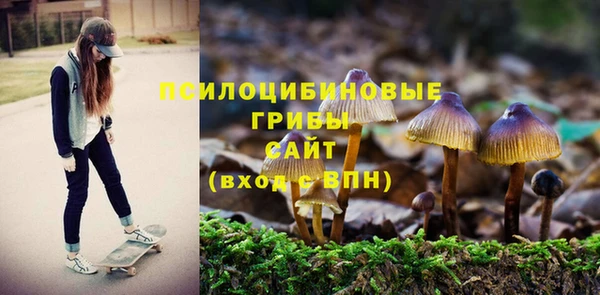 кокс Алексин