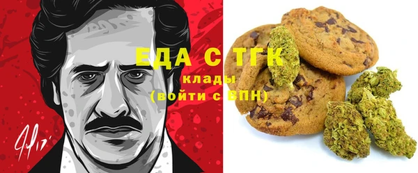 прущий лед Алзамай