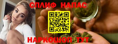 дживик Аша