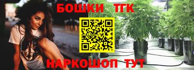 дживик Аша