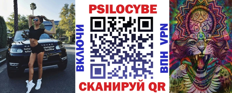 mega маркетплейс  Алексеевка  Галлюциногенные грибы MAGIC MUSHROOMS  продажа наркотиков 