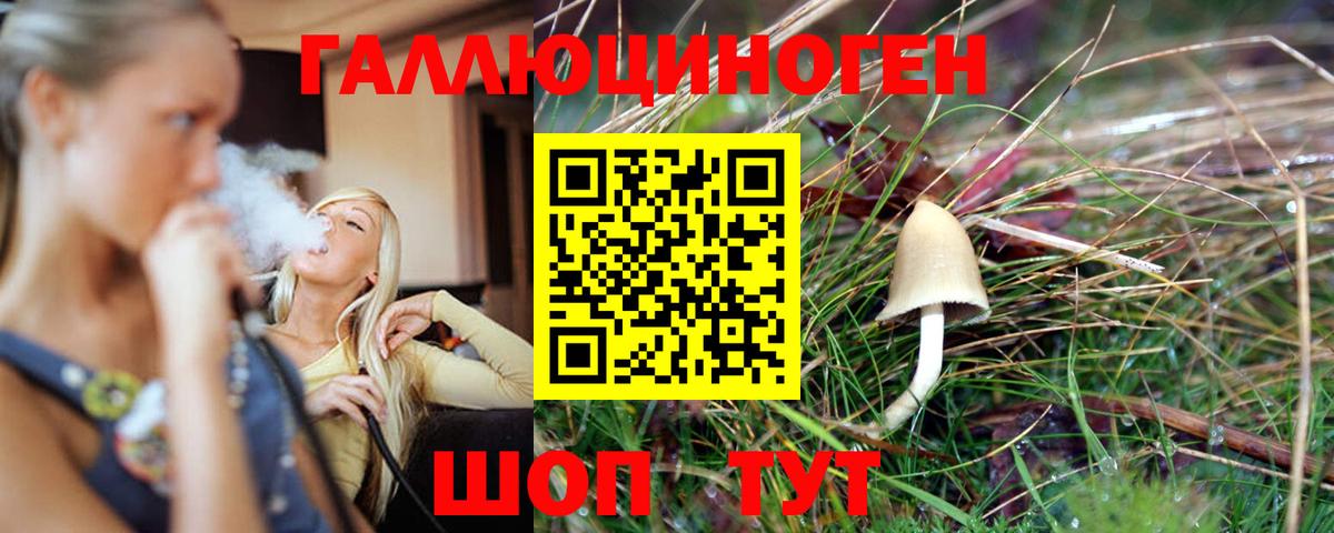 Галлюциногенные грибы Magic Shrooms Алексеевка