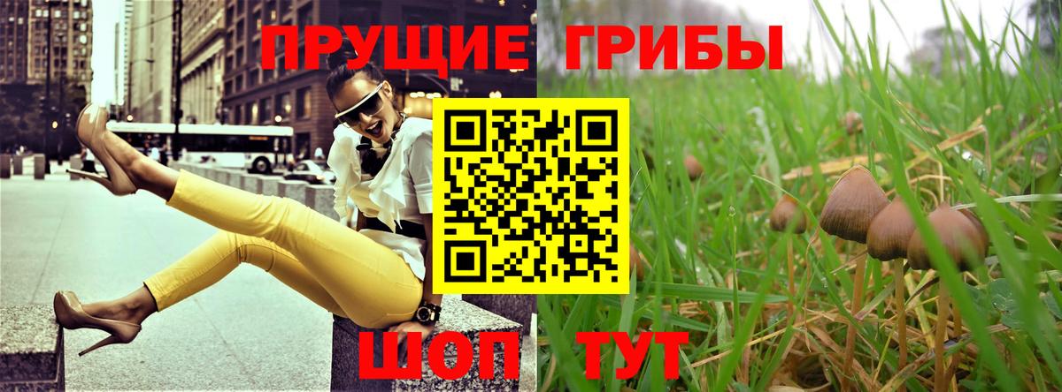 Галлюциногенные грибы Cubensis  Вход с VPN  Галлюциногенные грибы Cubensis  Алексеевка 