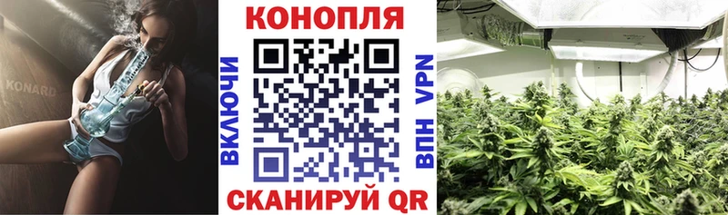 где купить   Алексеевка  кракен онион  Марихуана AK-47 